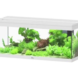 aquatlantis Prestige 100 weiß Aquarium Günstig